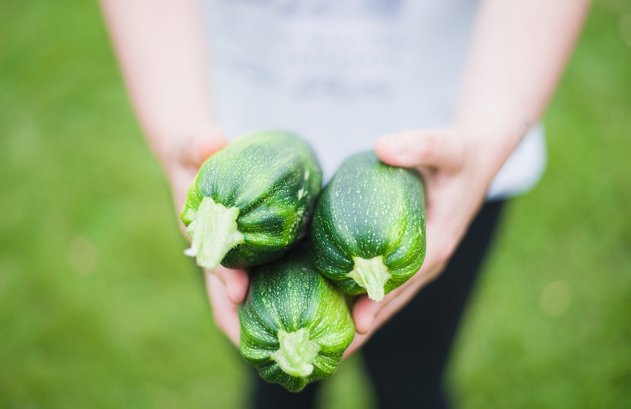 Résilience alimentaire