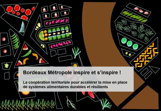 Webinaire-du-CCGAD