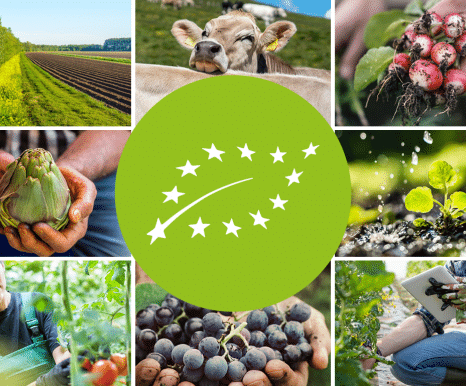 Food-for-Europe-série-de-podcast-sur-l'alimentation-et-l'agriculture-en-Europe