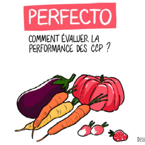 Replay-restitution-des-résultats-du-projet-Perfecto