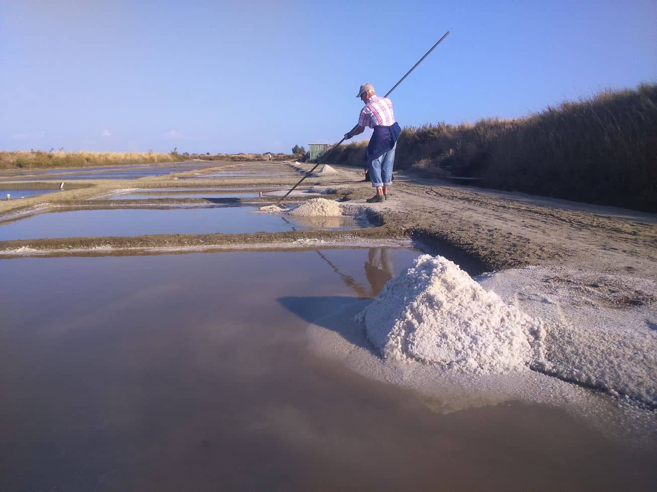 [Rédaction du Lab] Le sel et la fleur de sel de l’île de Ré reconnus IGP