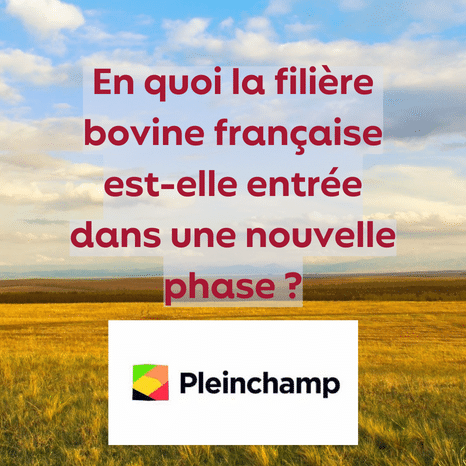 pleinchamp