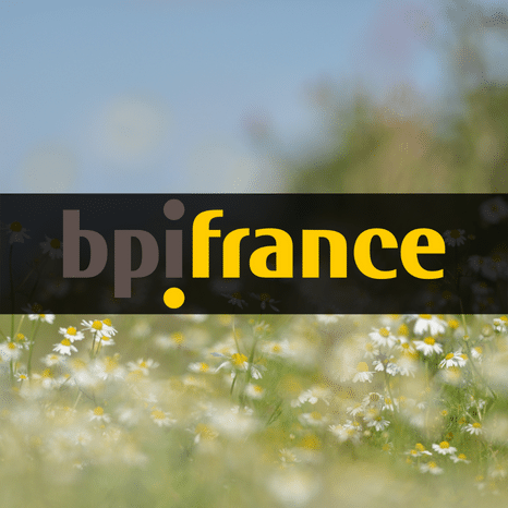 Etude BPI France : Les PME et l’export en 2024