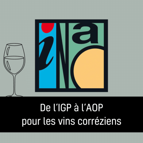 AOP vins correze