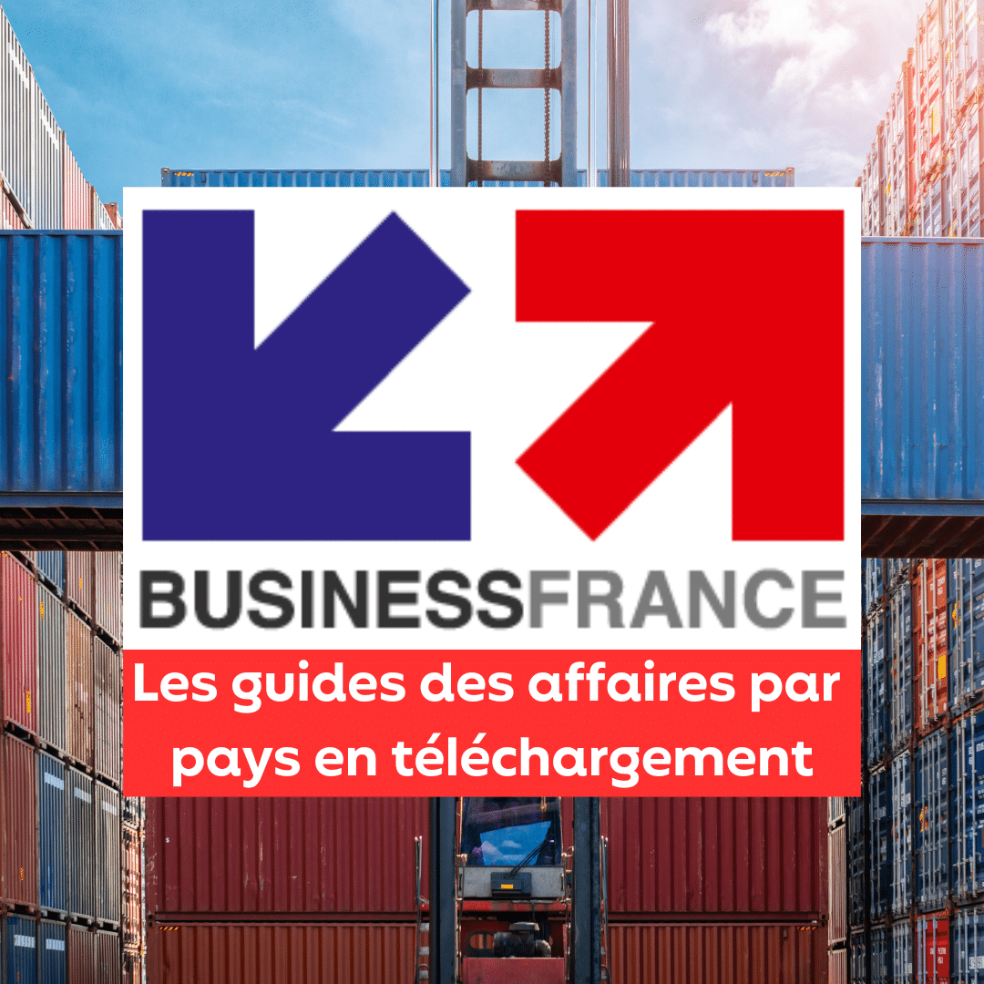 Les guides des affaires en téléchargement : l’information pour exporter sur les pays, par Team France
