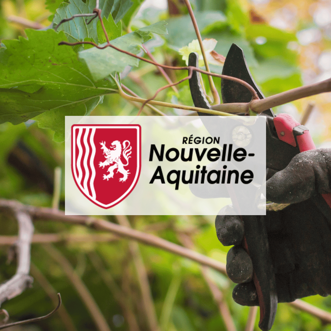 Hébergement des travailleurs saisonniers : la Région Nouvelle-Aquitaine propose un plan d’actions innovantes