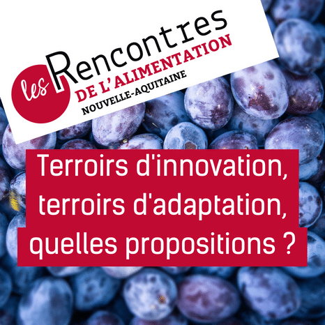 [Replay] Terroirs d’innovation, terroirs d’adaptation, quelles propositions ?