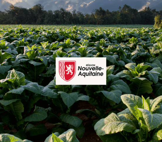région nouvelle aquitaine