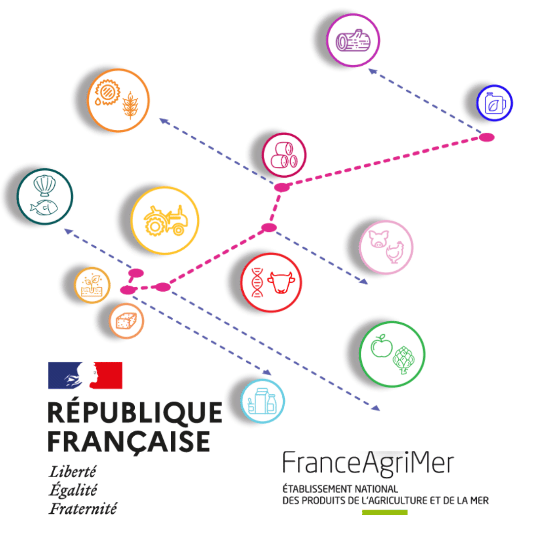 Les performances à l’export des filières agricoles et agroalimentaires françaises en 2022