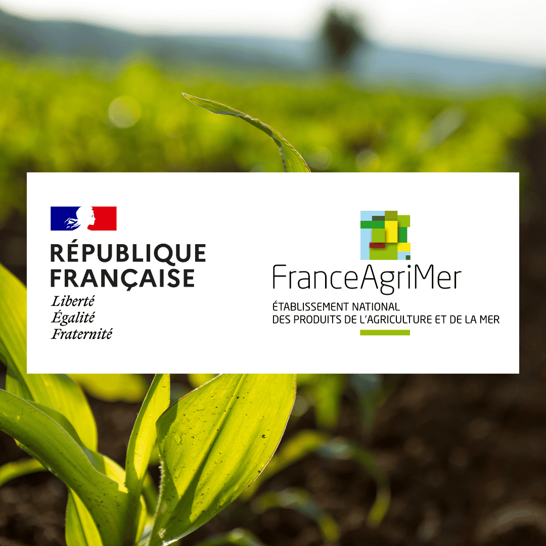 FranceAgriMer : la consommation de viandes en France en 2022