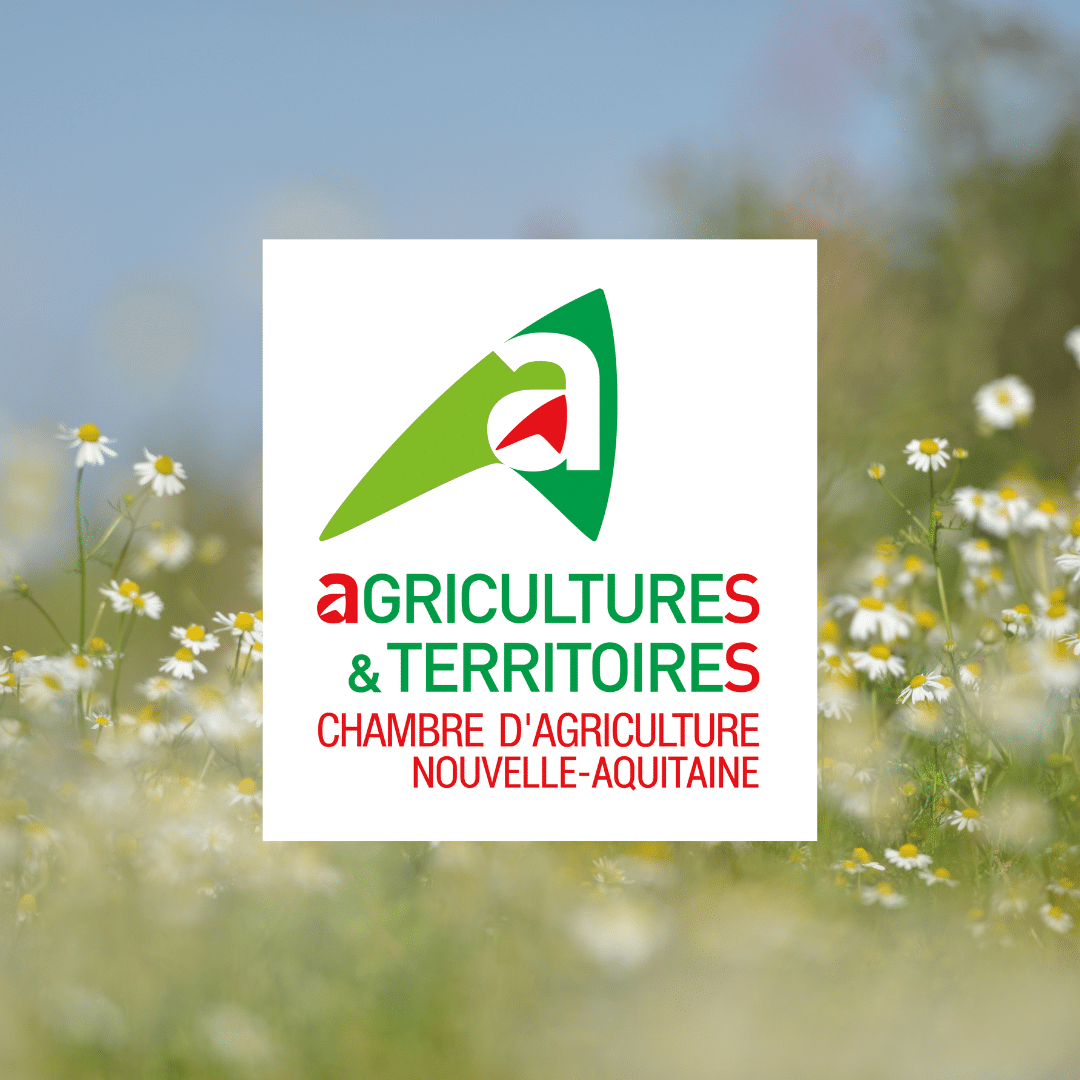 Découvrez le nouveau site dédié aux agriculteurs et aux pratiques agricoles, créé par la Chambre d’Agriculture Nouvelle-Aquitaine