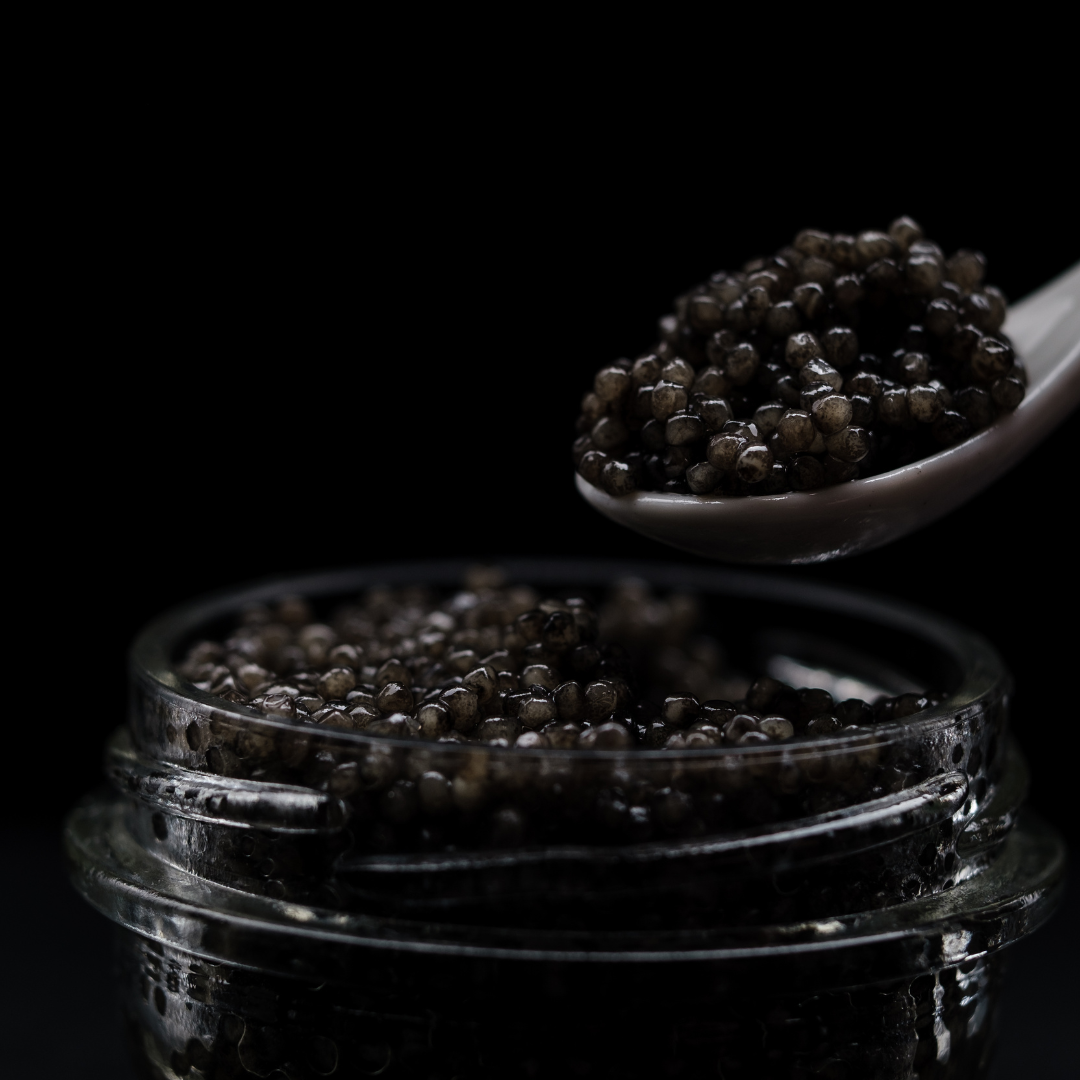 Caviar de Neuvic certifié B Corp après sont entrée au sein du groupe prunier