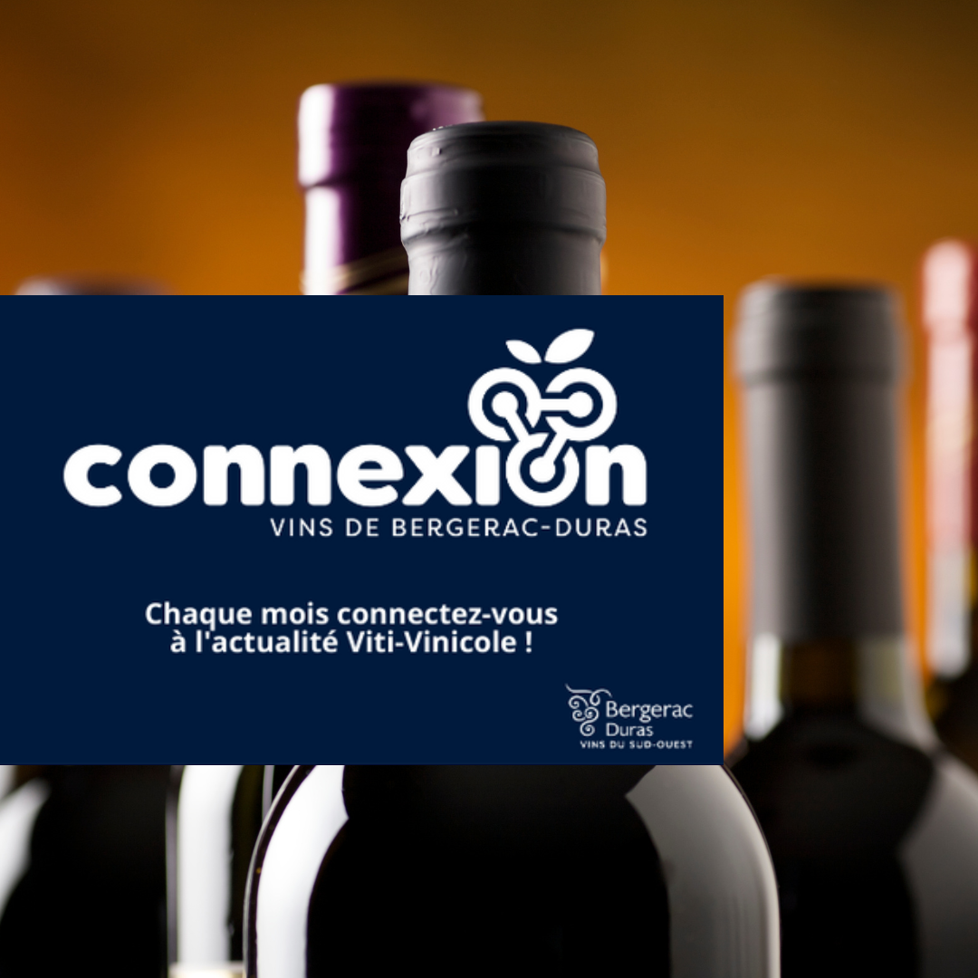 Magazine Digital Connexion n°12 – Vins de Bergerac-Duras