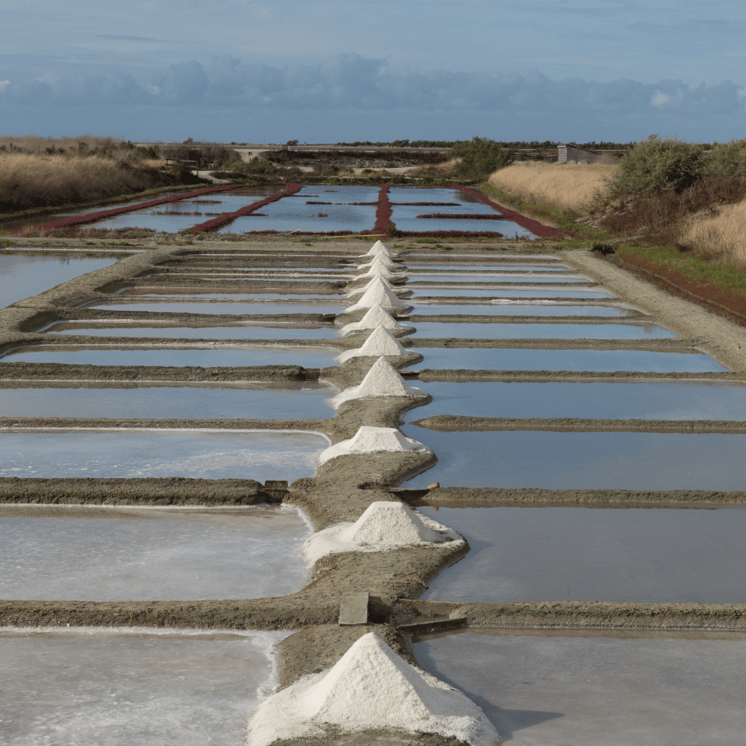 Le sel et la fleur de sel de l’Île-de-Ré labellisés IGP