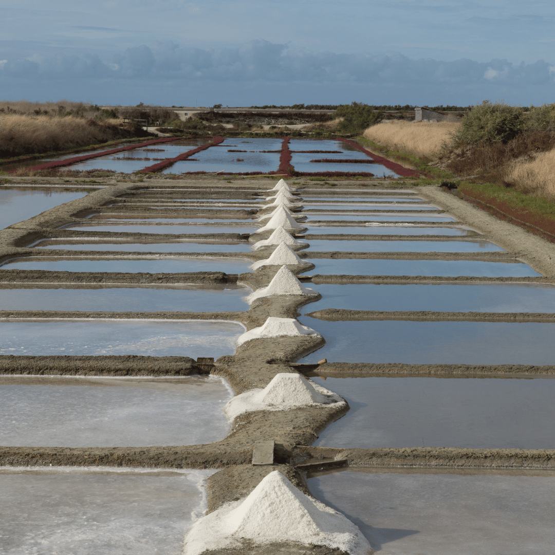 [Rédaction du Lab] Le sel et la fleur de sel de l’Île-de-Ré labellisés IGP