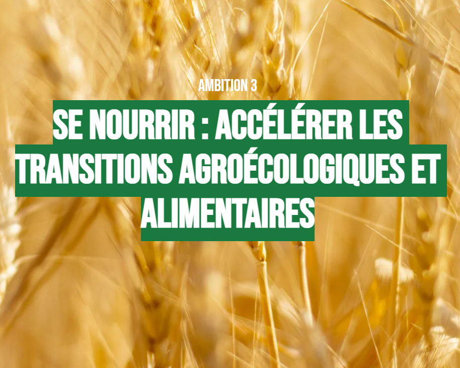 [Néo Terra] L’ambition 3 : Se nourrir, accélérer les transitions agroécologiques et alimentaires