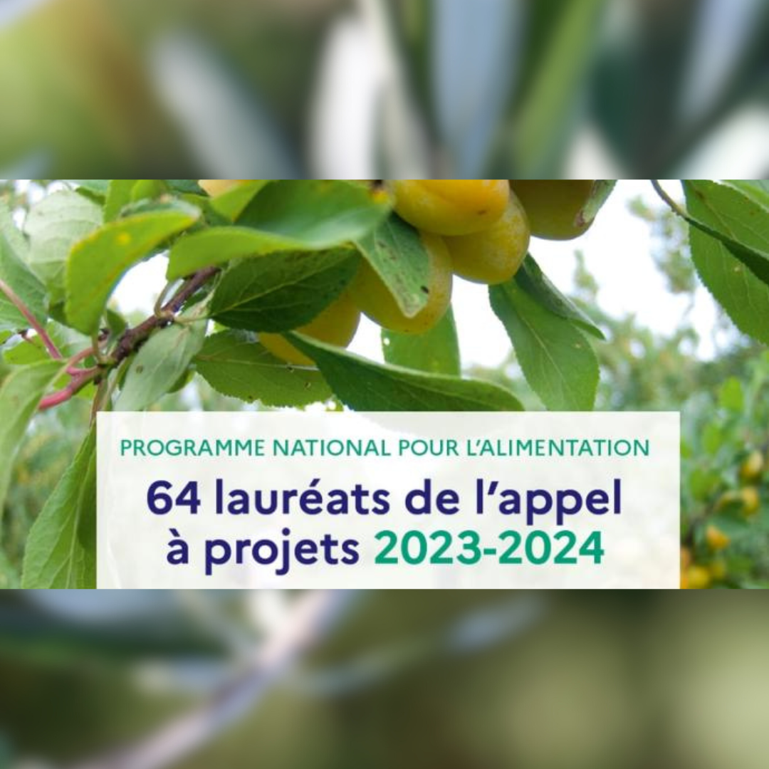 Programme national pour l’alimentation : les 64 lauréats de l’appel à projets 2023-2024