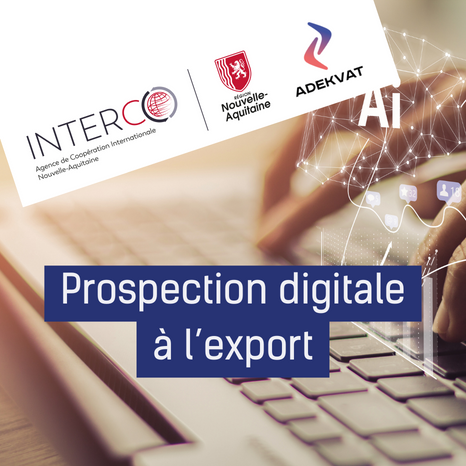 Prospection digitale à l’export