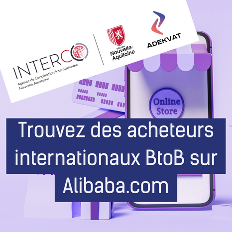 Trouvez des acheteurs internationaux BtoB sur des marketplaces : cas pratique sur Alibaba.com (2 sessions)