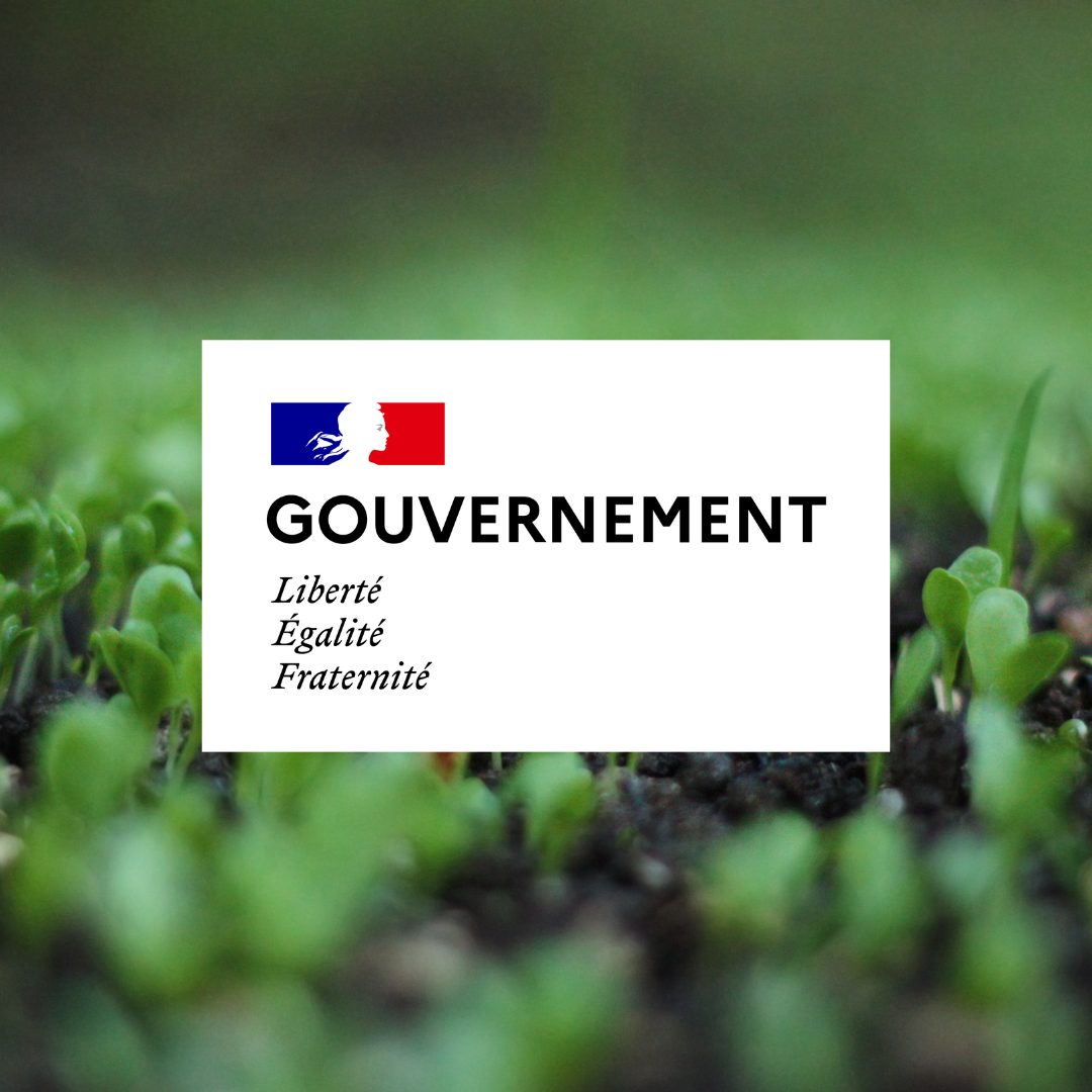 Stratégie nationale pour l’alimentation, la nutrition et le climat 2025/2030