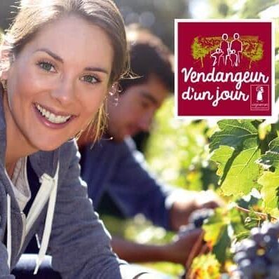 Devenez Vendangeur d’un Jour®avec les Vignerons Indépendants