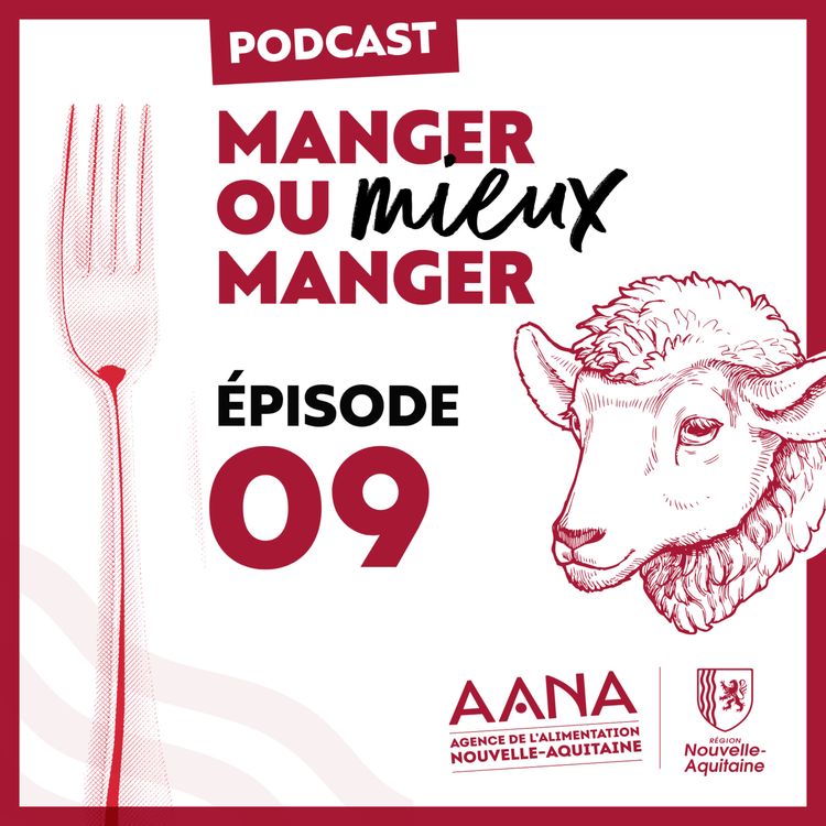 Podcast “Manger ou Mieux Manger” : à la rencontre d’Angélique Barbot, éleveuse d’agneaux IGP Label Rouge Diamandin