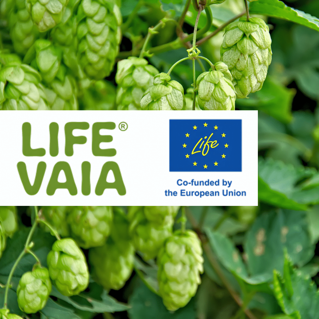 [Rédaction du Lab] Ça innove en Nouvelle-Aquitaine : le projet Life Vaia
