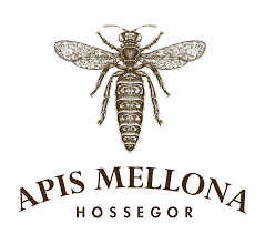 APIS MELLONA