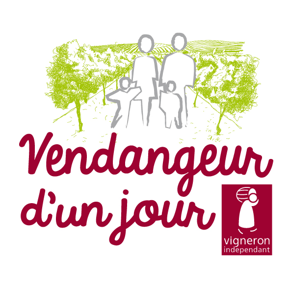 Vendangeur d’un jour