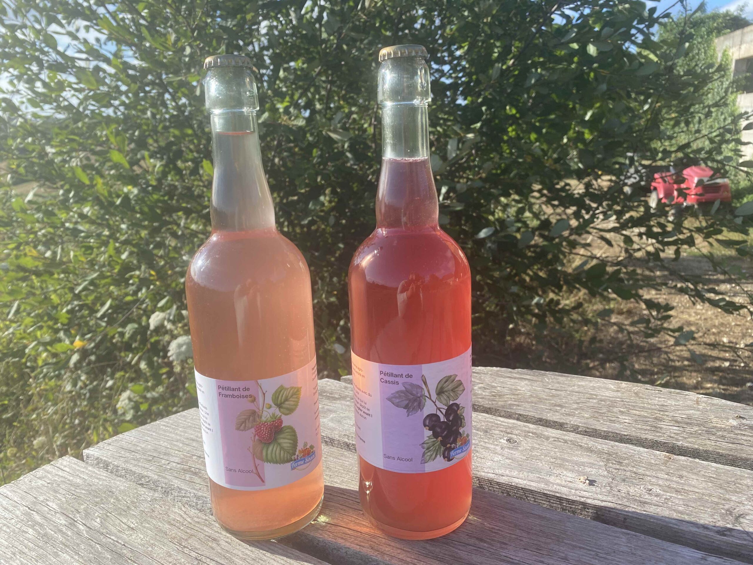 Partenariat vente de pétillants sans alcool