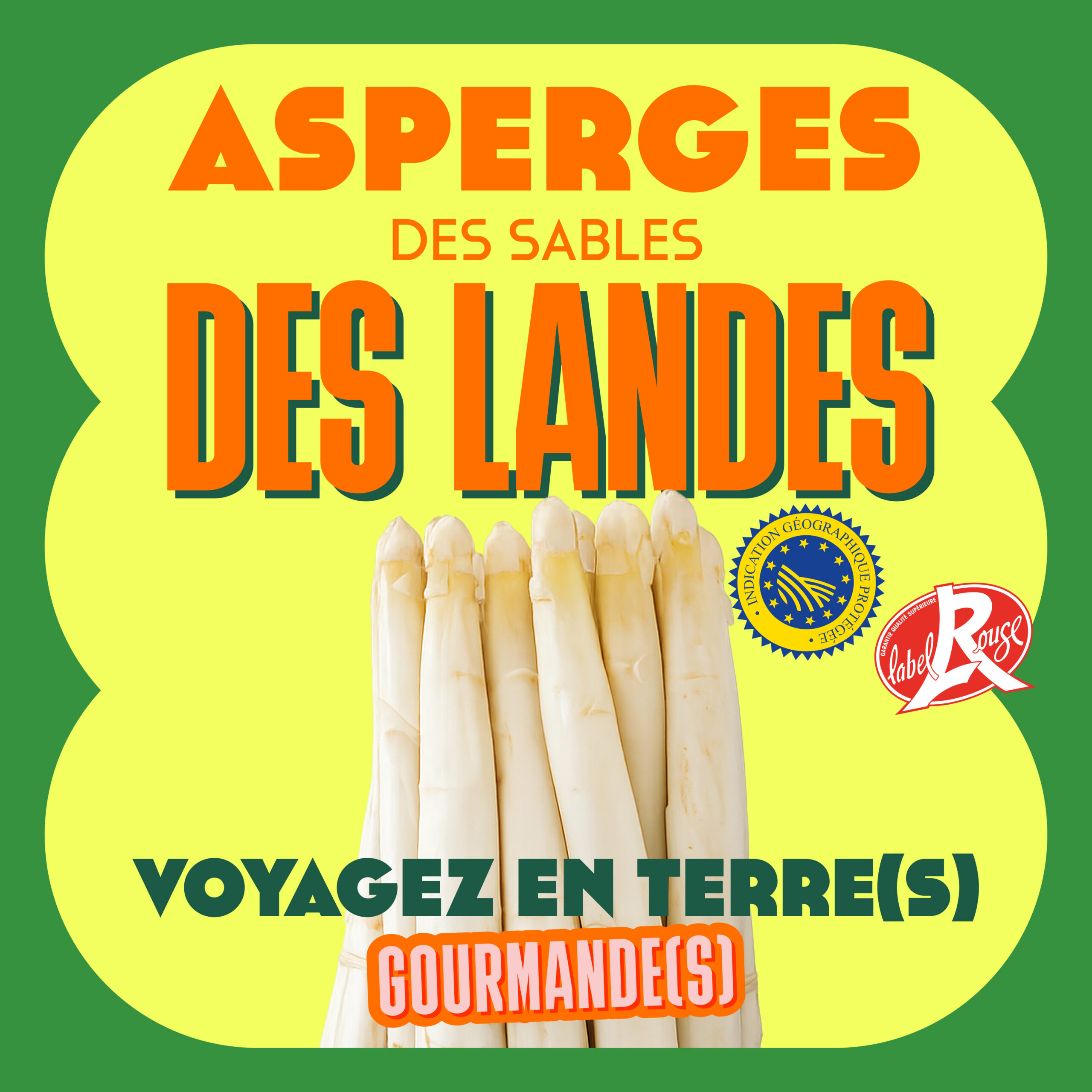Podcast “Voyage en Terre(s) Gourmande(s) : L’Asperge des Sables des Landes IGP Label Rouge, un légume noble