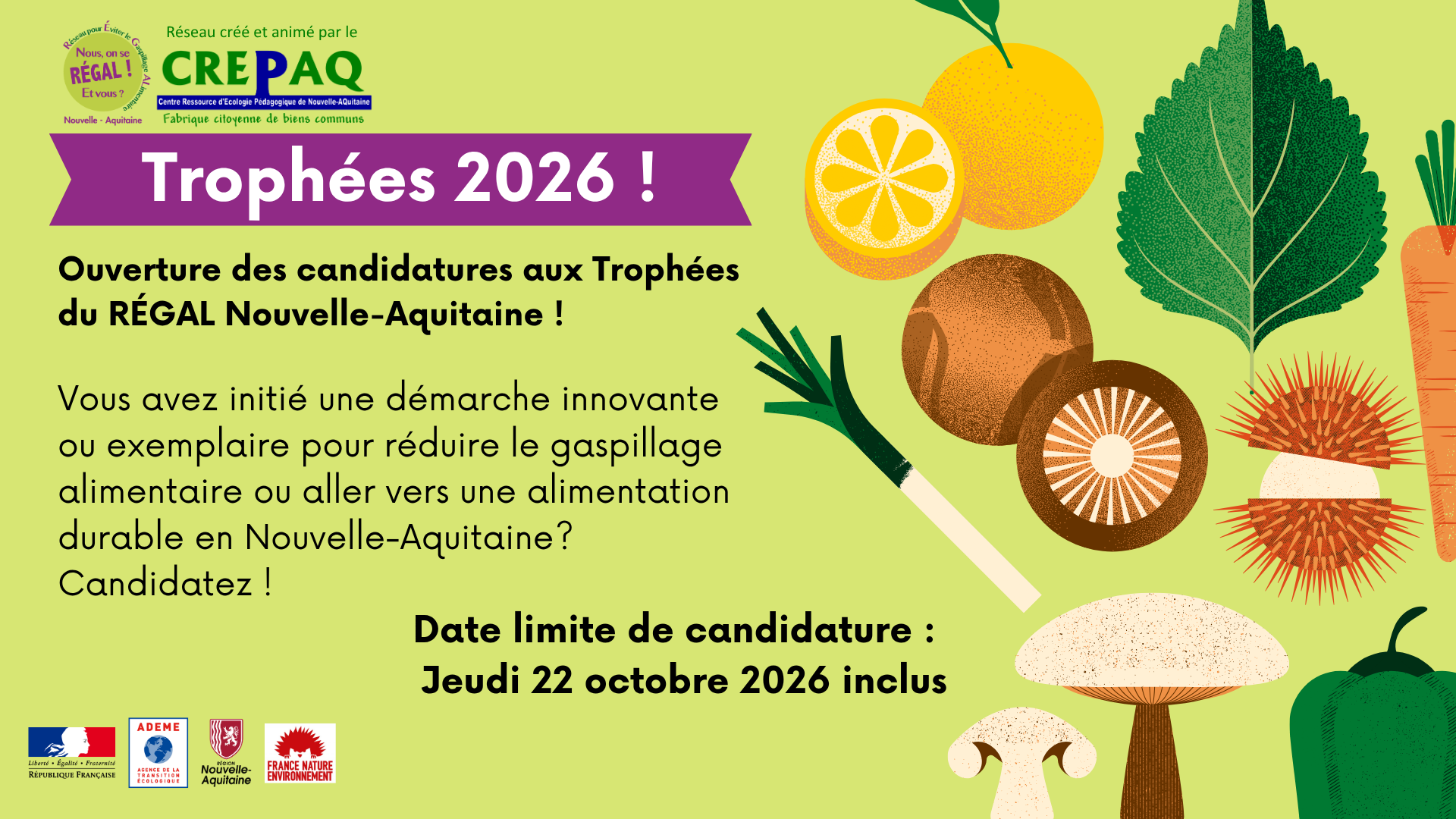 🏆 Appel à candidatures aux Trophées du REGAL Nouvelle-Aquitaine 2026