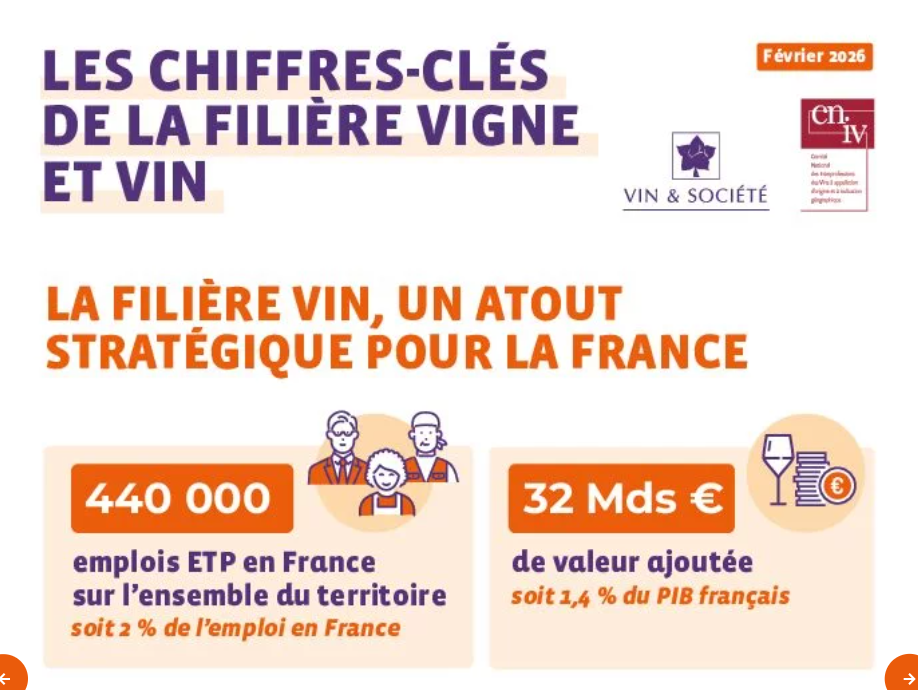 Chiffres clés de la filière vigne et vin 2026
