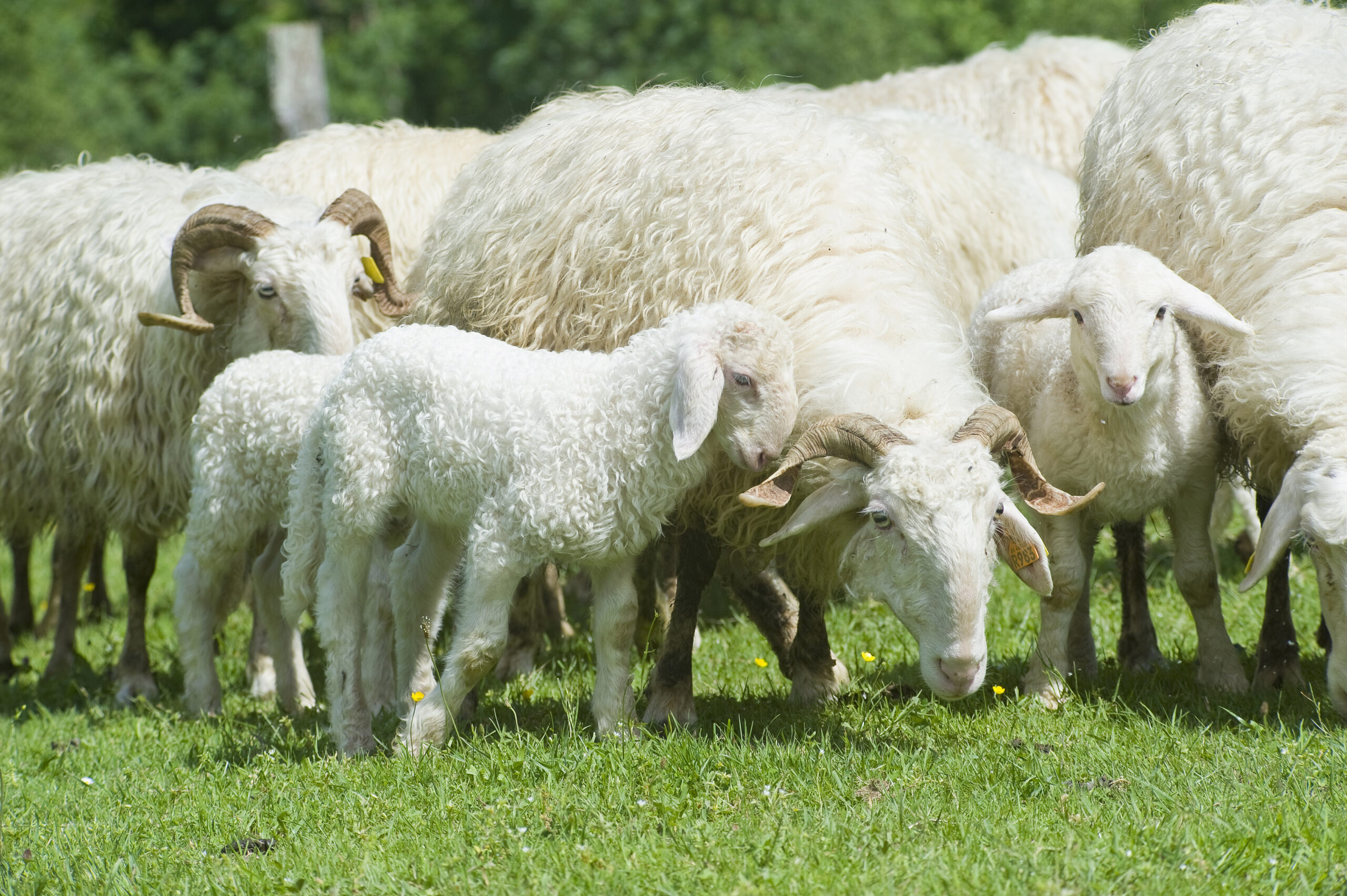 [Rédaction du Lab] Axuria, le succès d&rsquo;une coopérative basque
